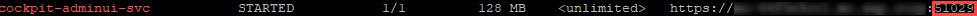 expected output